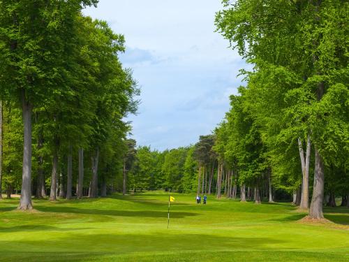 Forest Pines Golf Course
