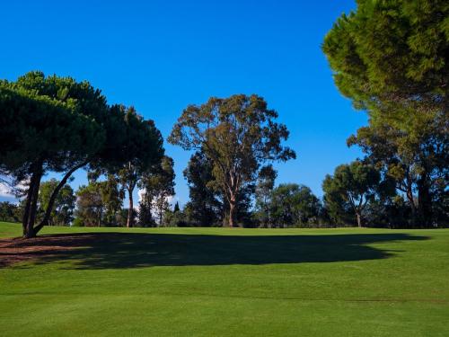 Alto Golf Club
