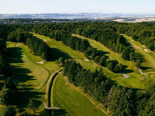 Downfield Golf