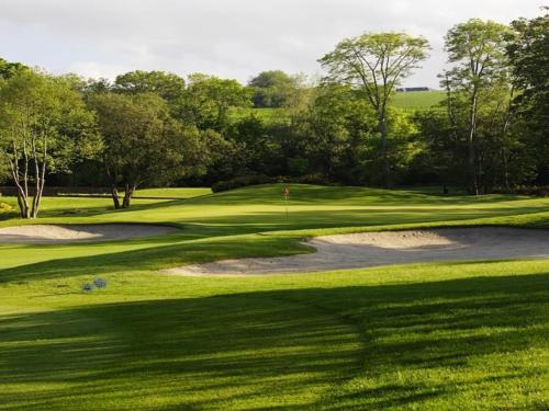 Druids Glen Course