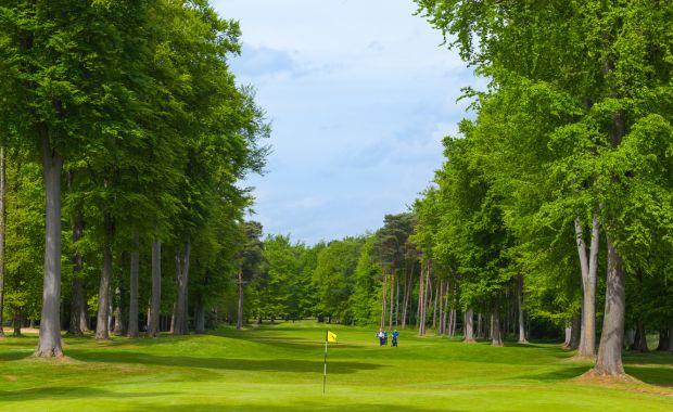 Forest Pines Hotel & Golf Resort (1 Night + 2 Rounds)