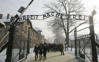 auschwitz birkenau tour image