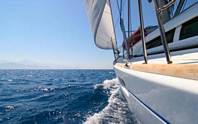 Freebird Catamaran (AM)