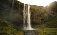 south shore guided tour image