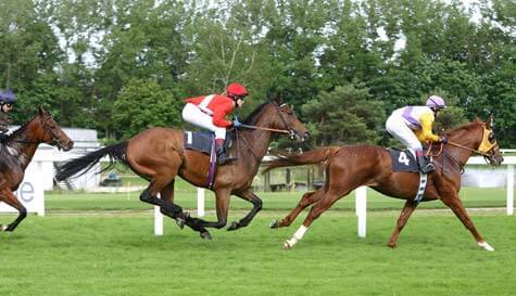Horse Racing - County Stand