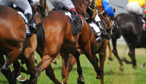 Horse Racing - County Stand