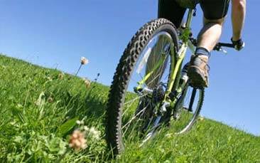 City Bike Tour