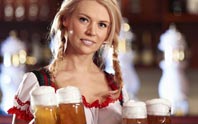 bavarian feast image