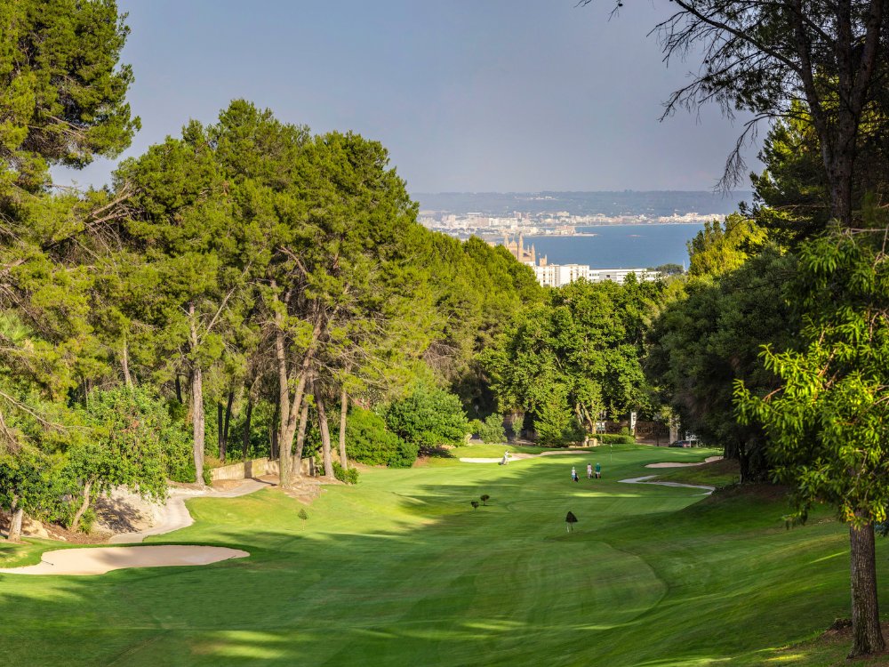 Golf Son Vida