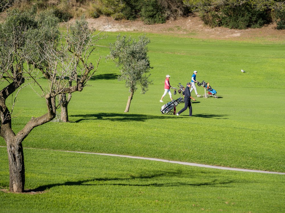 Golf Son Vida