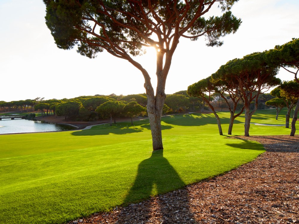 Quinta South Course