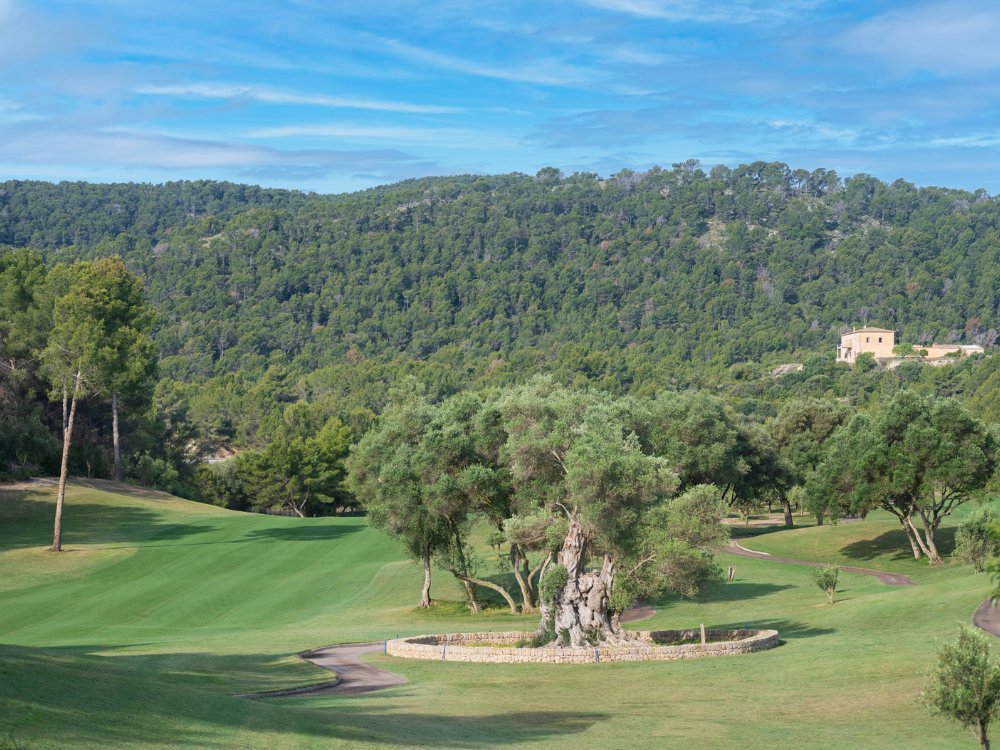 Golf Son Muntaner