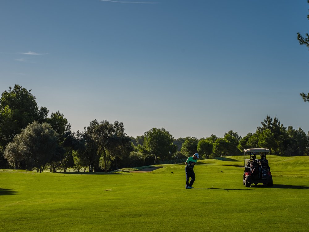 Golf Son Quint