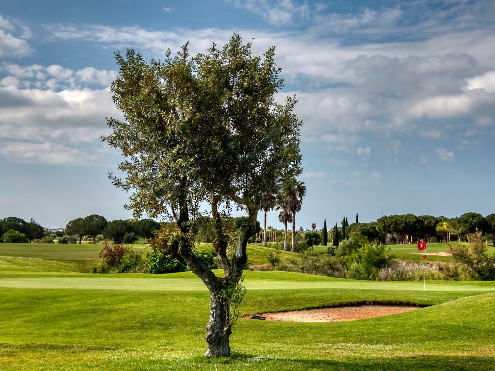 Millennium Vilamoura