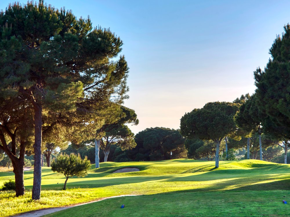 Pinhal Vilamoura