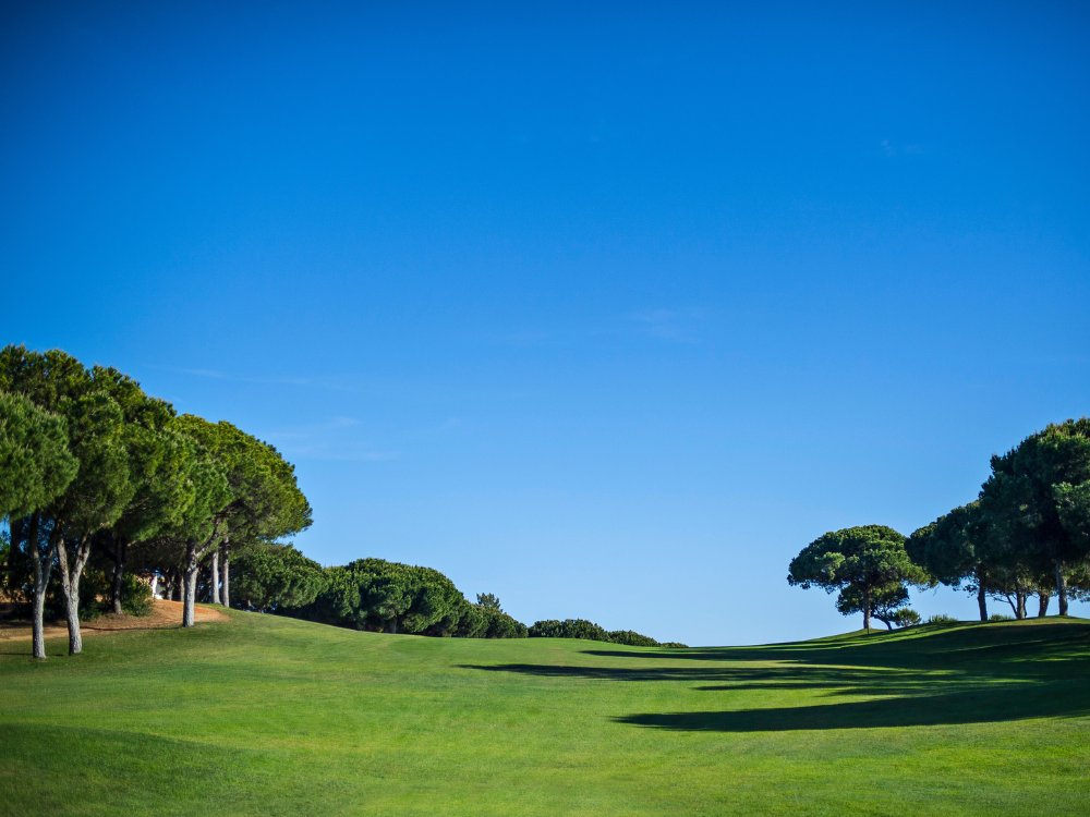 Pinhal Vilamoura