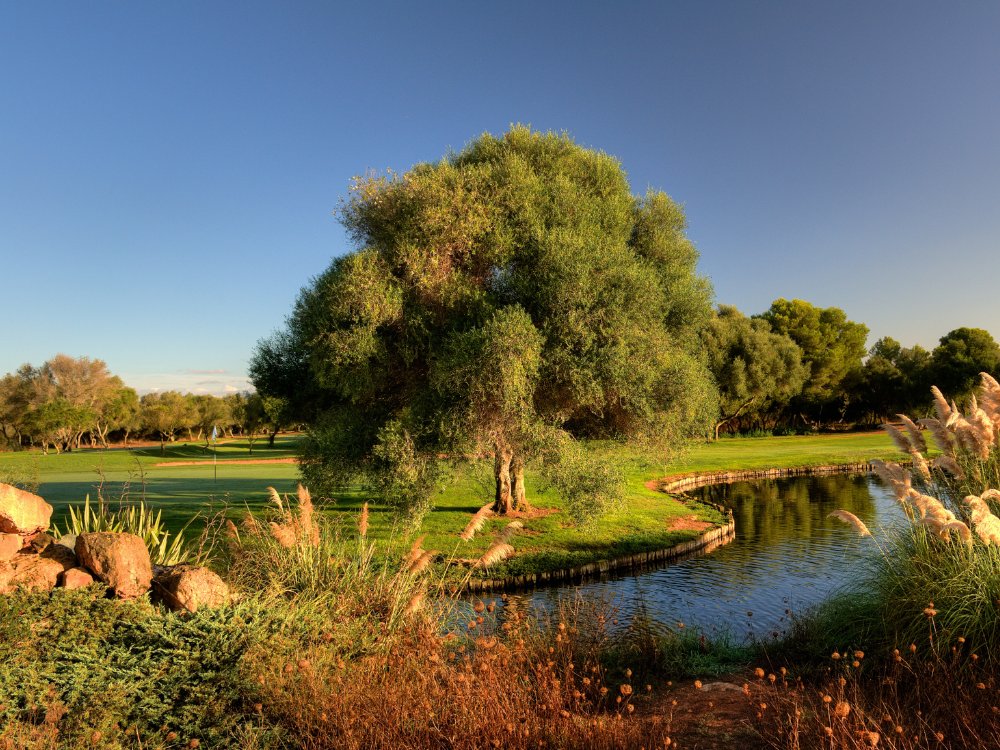 Son Antem East Course