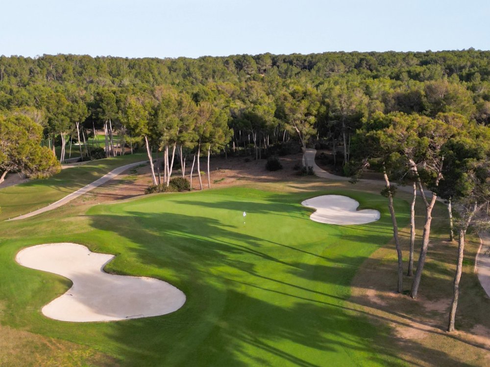 T Golf Calvia