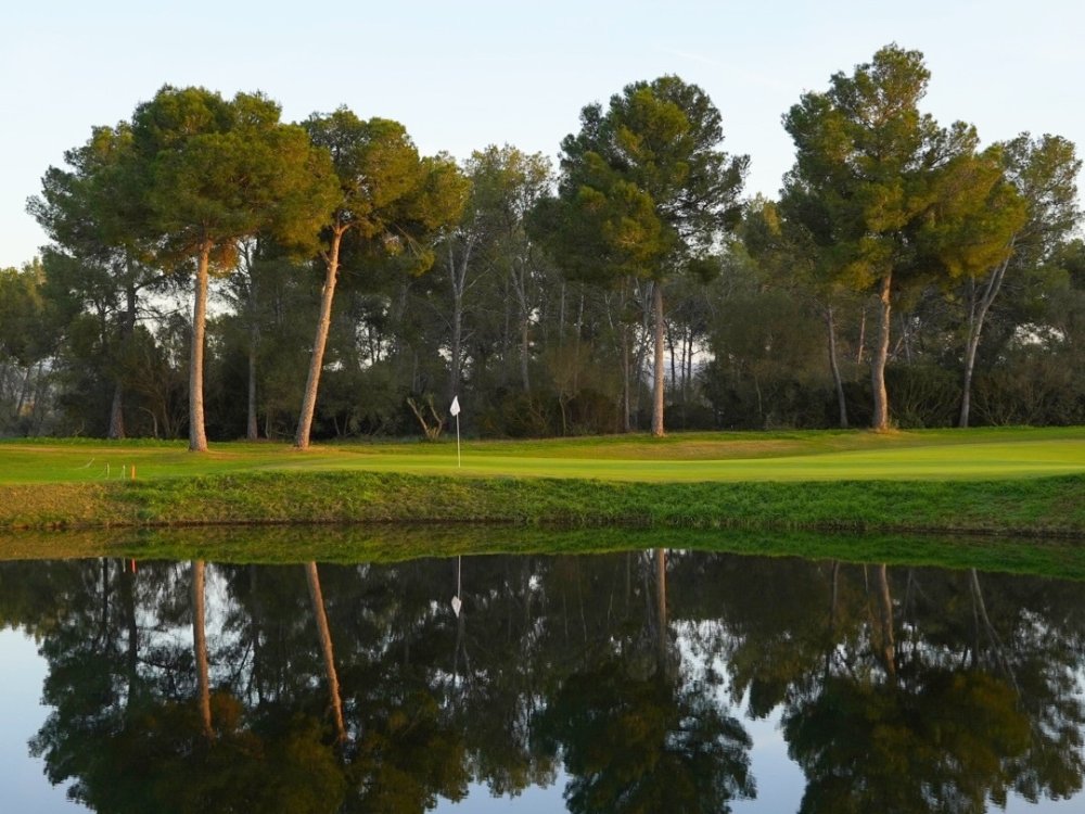 T Golf Palma