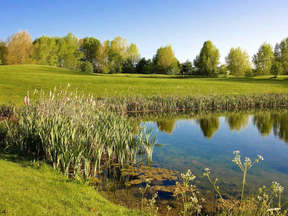 Cumberwell Park Golf Course