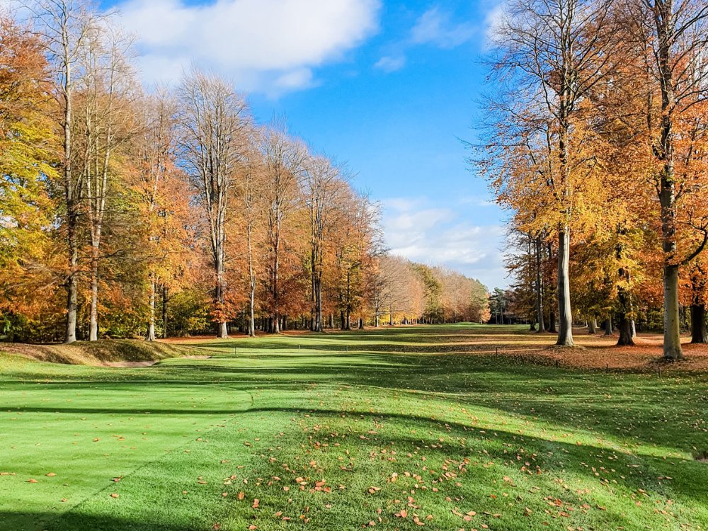 Forest Pines Golf Club
