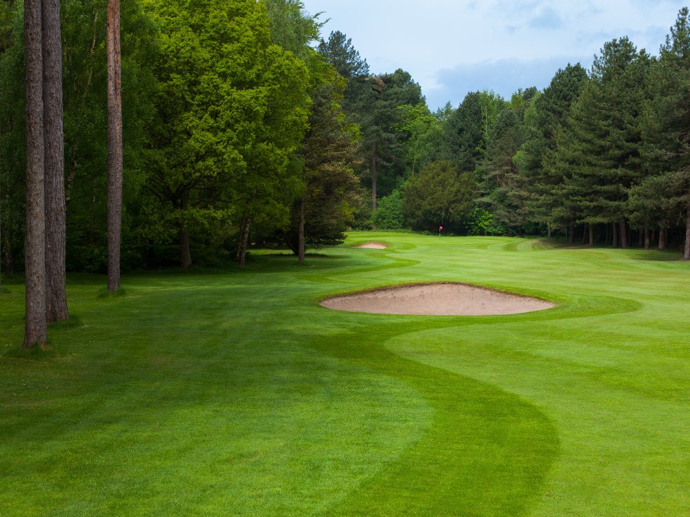 Forest Pines Golf Club