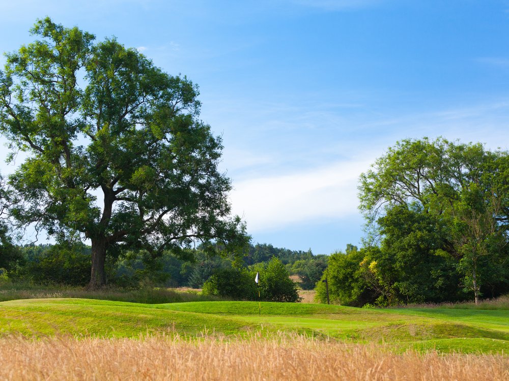 Westerwood Golf Course