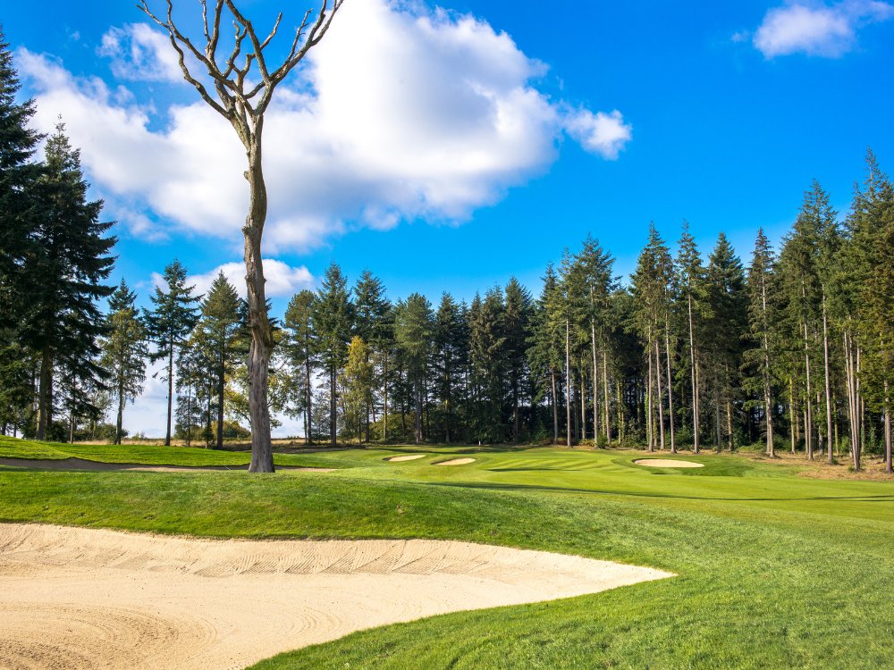 Remedy Oak Golf Course