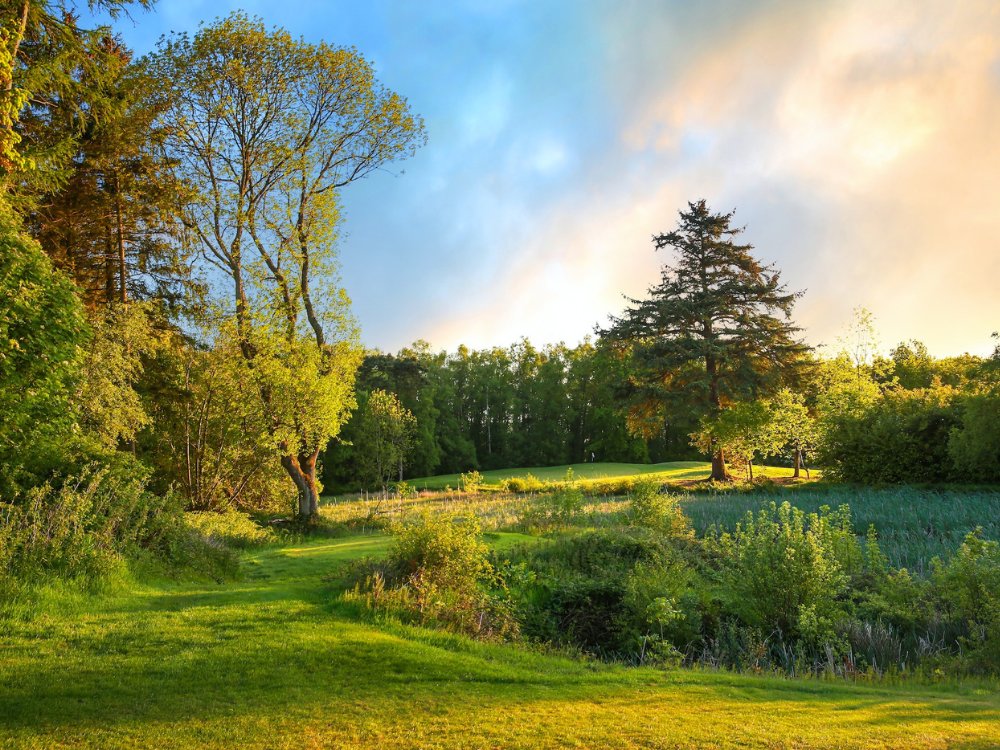 Macdonald Linden Hall Golf & Country Club