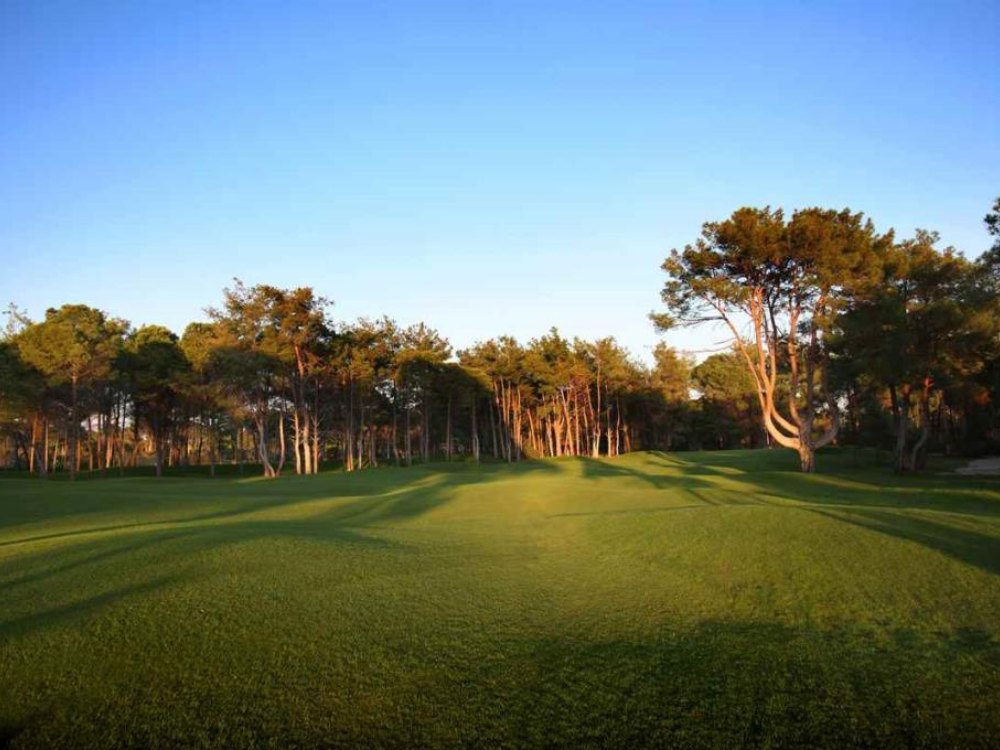 Sueno Golf Club - Pines Course