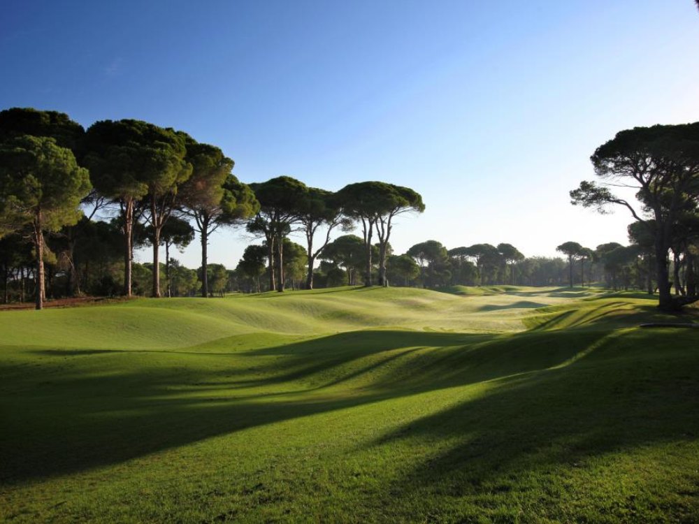 Sueno Golf Club - Pines Course
