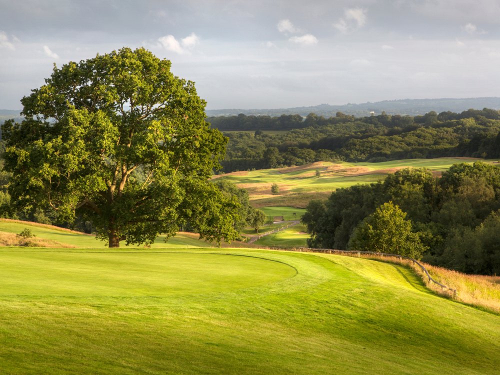 Dale Hill Golf Club - The Old Course