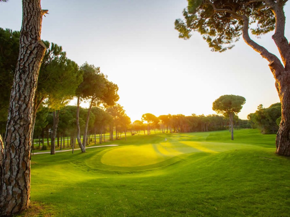 Montgomerie Maxx Royal Golf Club