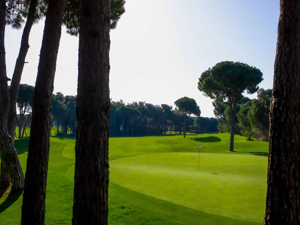 Montgomerie Maxx Royal Golf Club