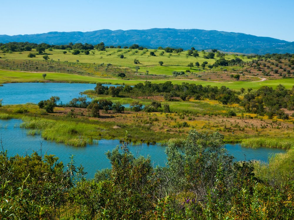 NAU Álamos Golf Course