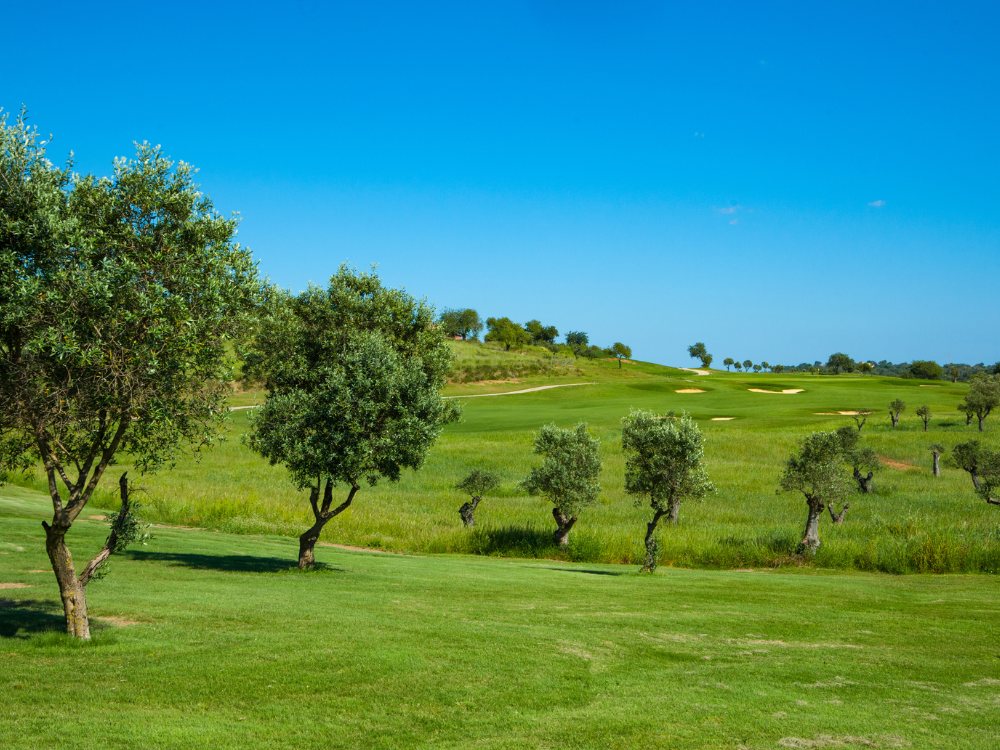 NAU Morgado Golf Course