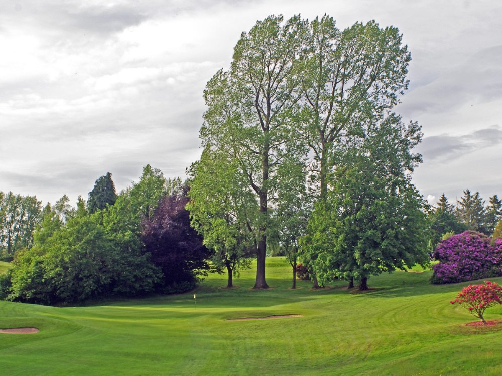 Radyr Golf Club