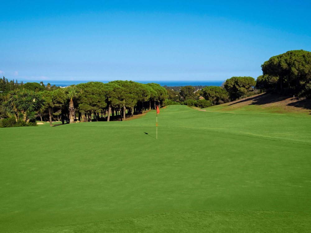 Alto Golf Club