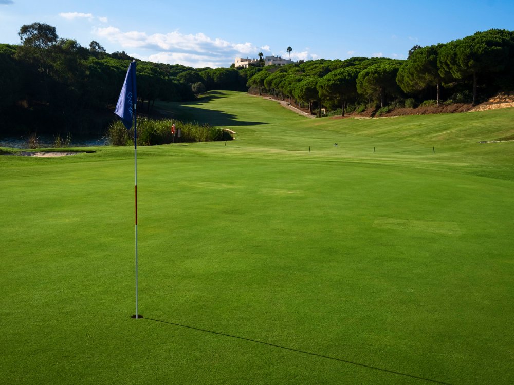Alto Golf Club
