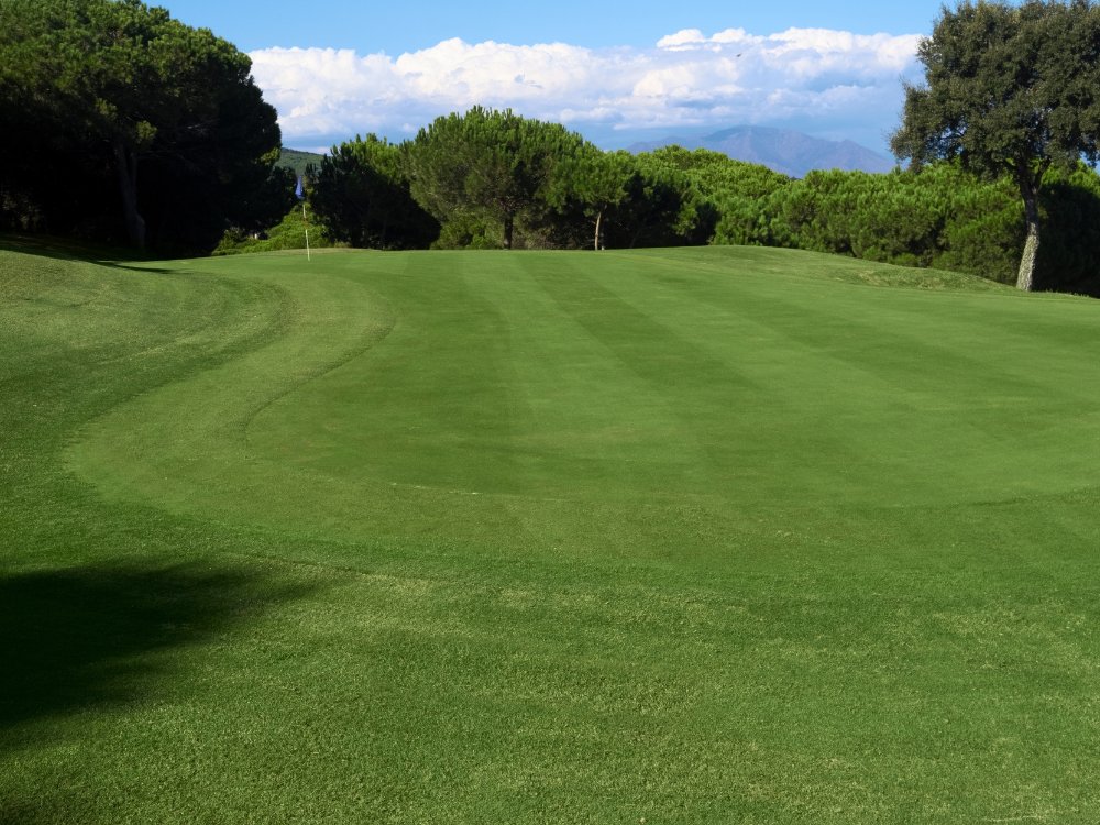 Alto Golf Club