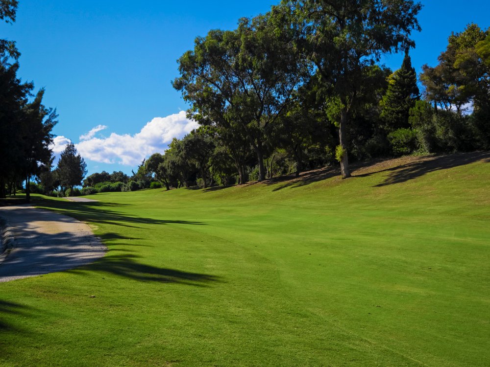 Alto Golf Club