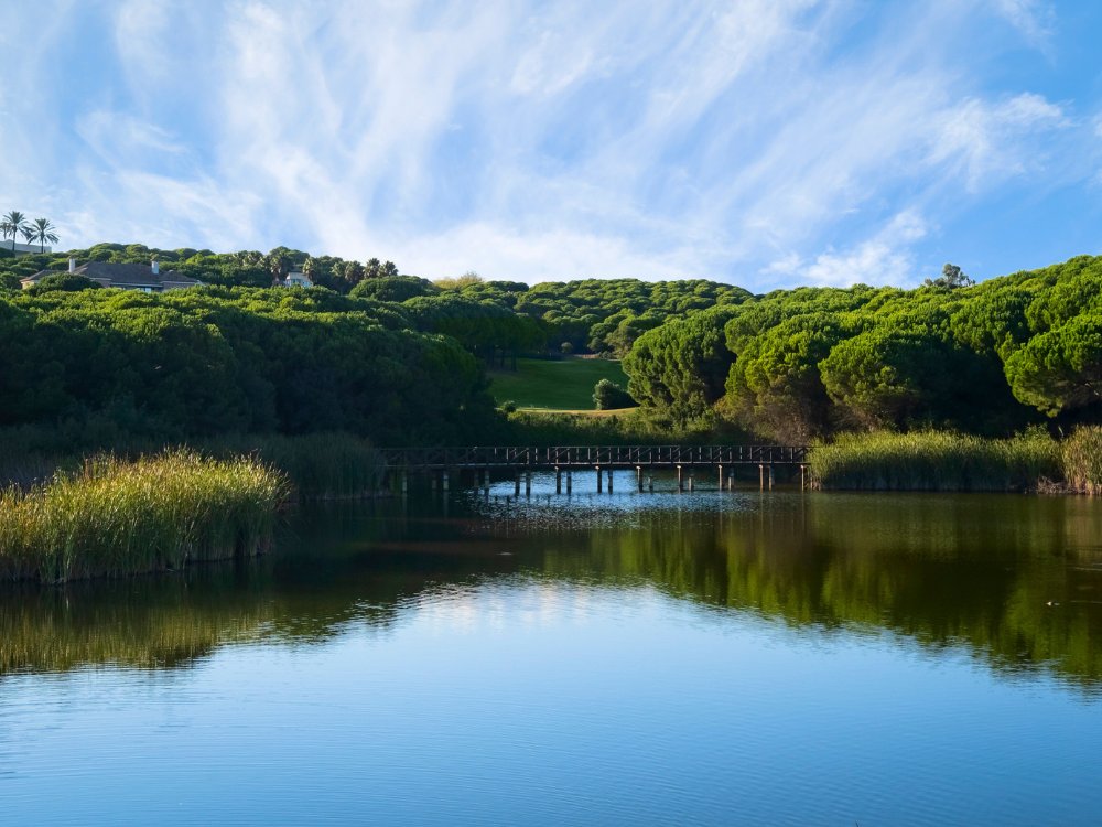 Alto Golf Club