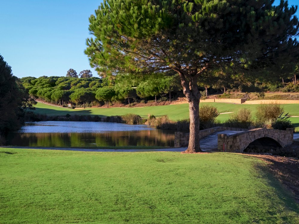Alto Golf Club