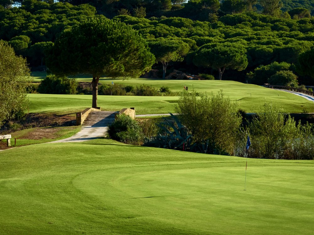 Alto Golf Club