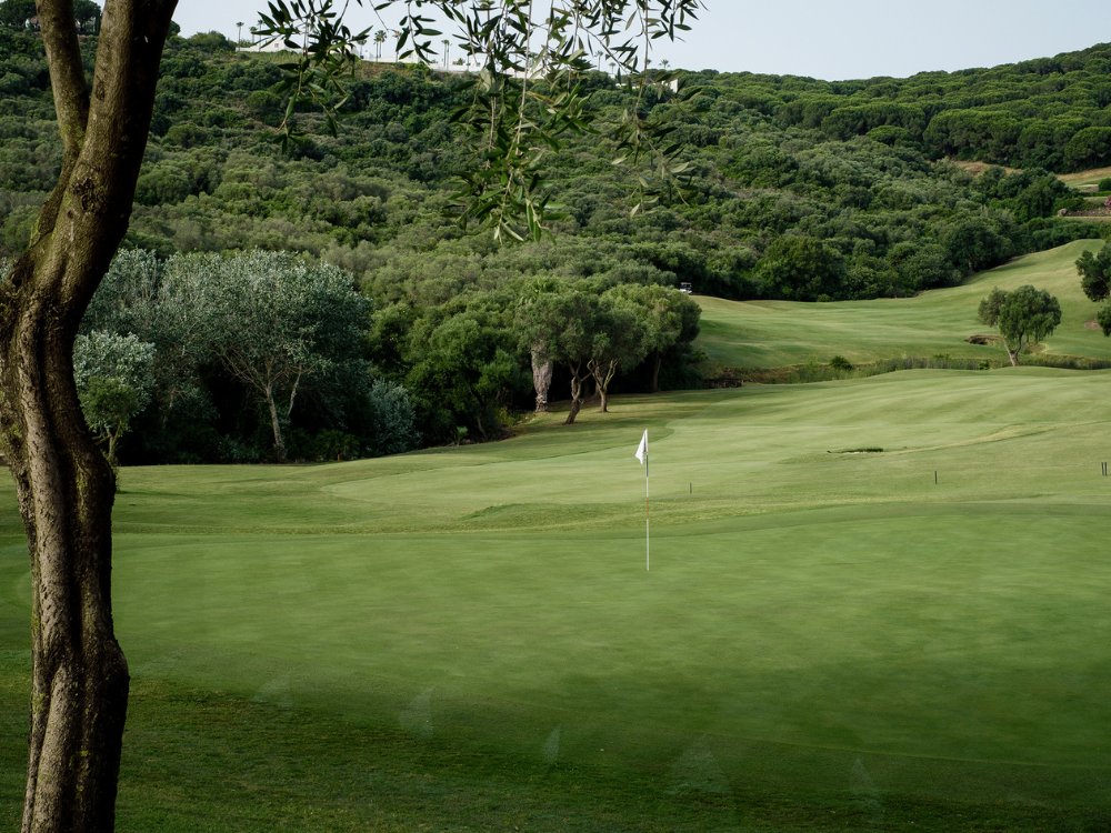 Alto Golf Club