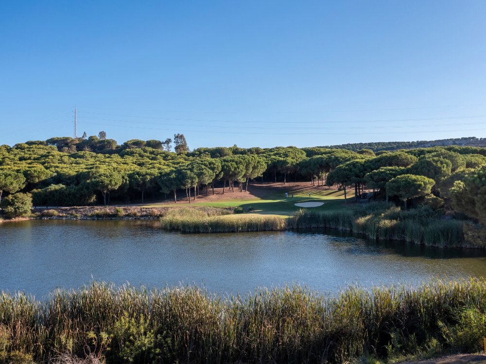 Alto Golf Club