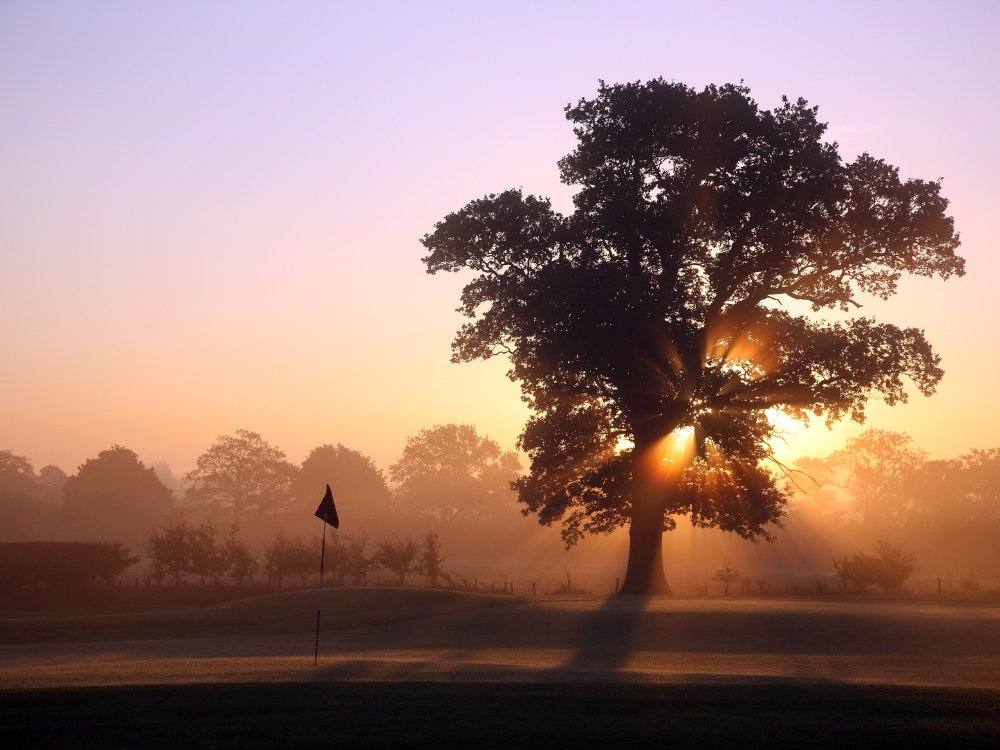 The Belfry - PGA National Course