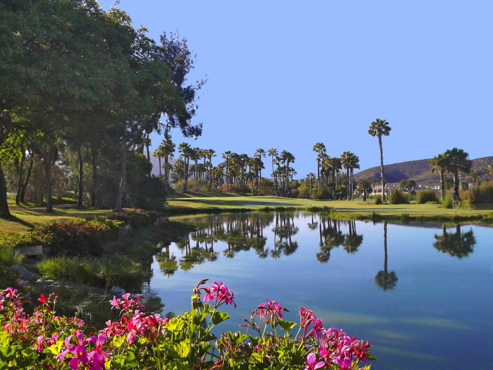 Golf Las Américas