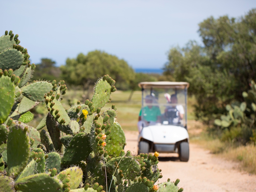 Is Molas Golf Course
