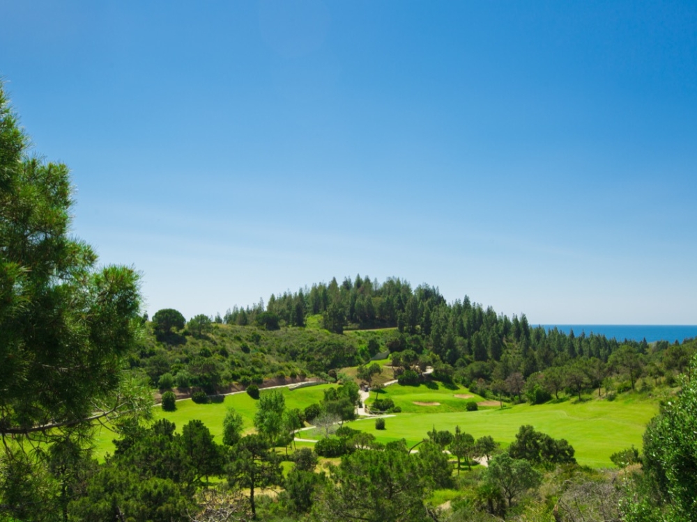 Chaparral Golf Club
